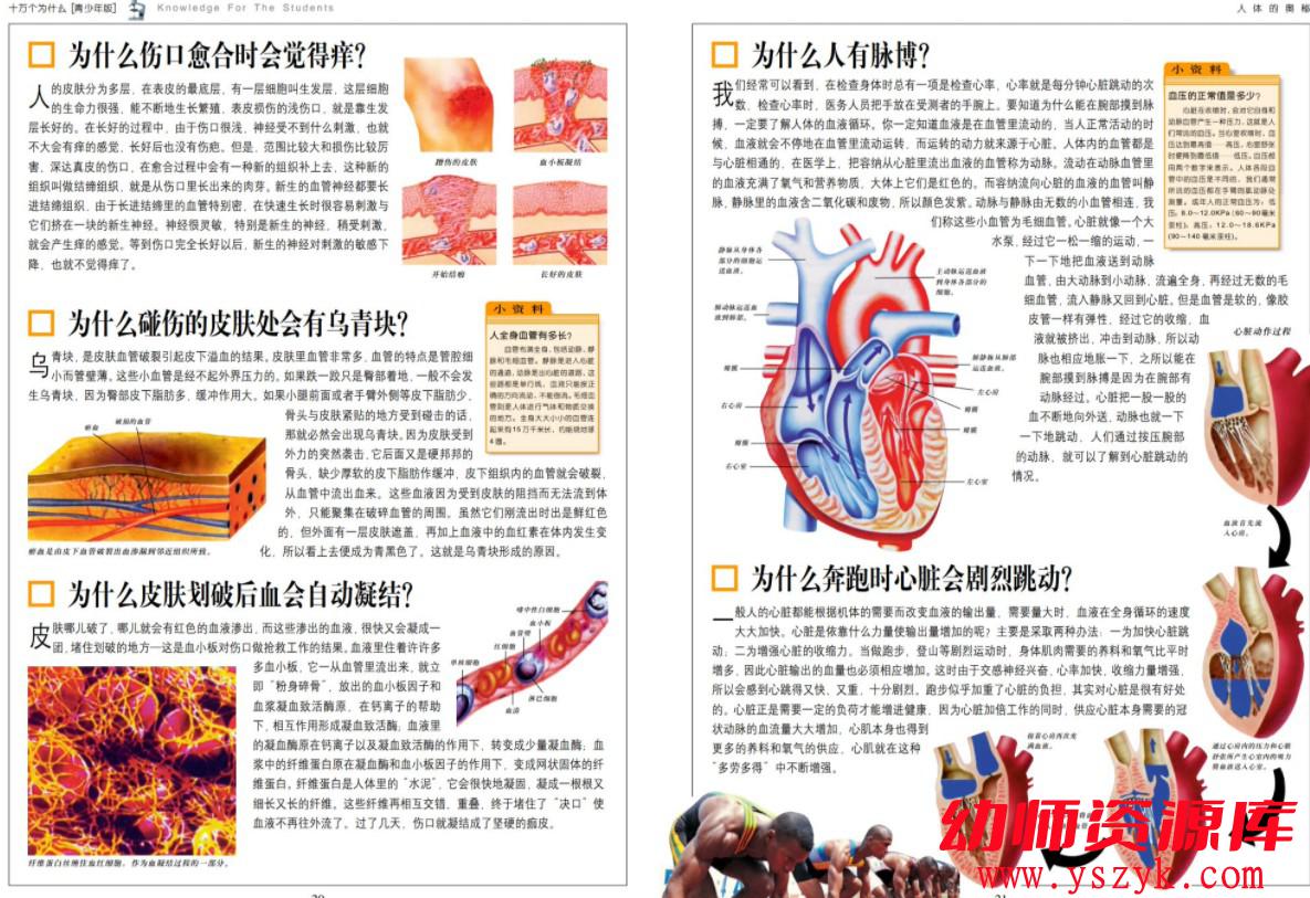 图片[4]-绘本《十万个为什么》6本-HB0079-幼师资源库