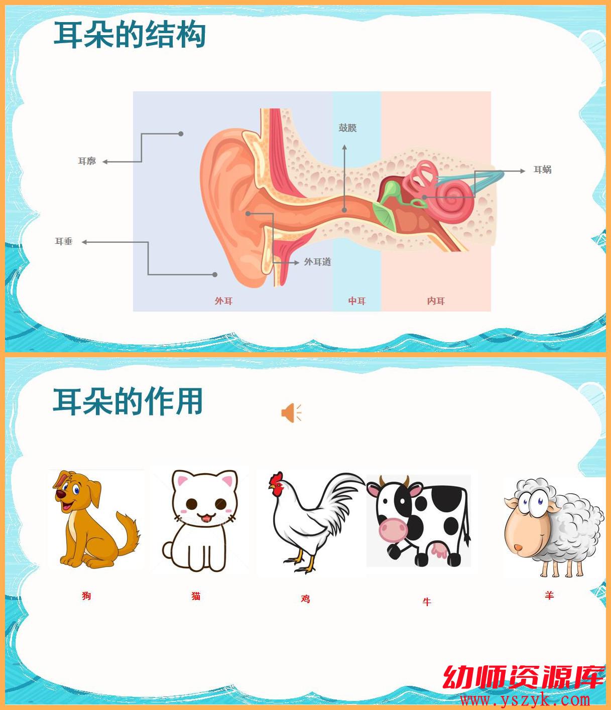 图片[3]-中班健康《保护耳朵PPT》PPT课件/教案/说课稿A0056-幼师资源库